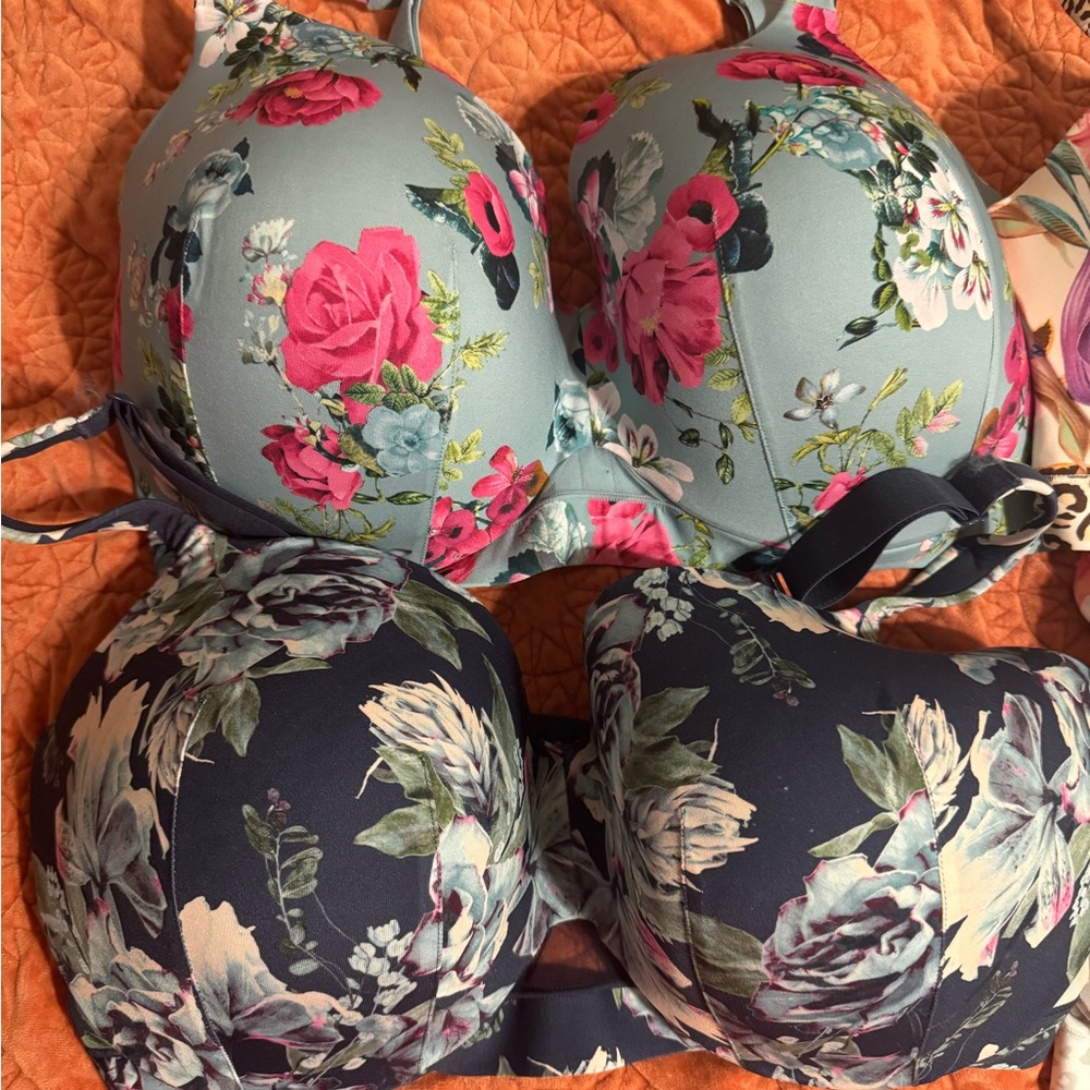 NEW Lot of 4 Cacique Lane Bryant floral bras balconette and full coverage - Picture 2 of 7